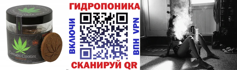kraken маркетплейс  Гудермес  Печенье с ТГК конопля 