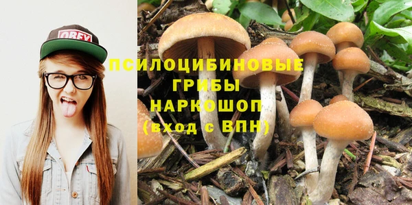 бутират Богородицк