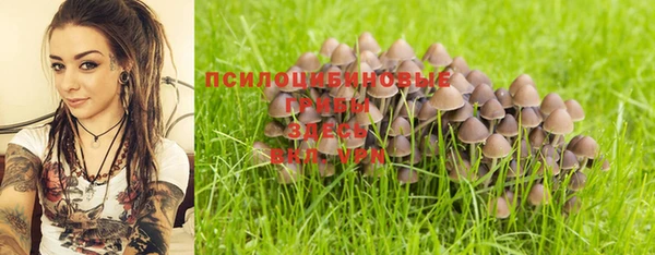бутират Богородицк