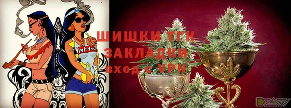 ешки Богданович