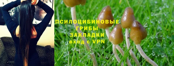 ешки Саяногорск