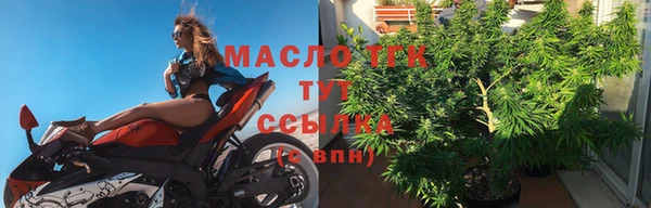 СК Богородск