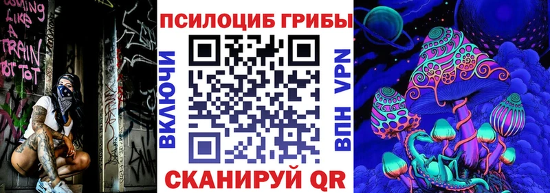мориарти формула  omg как войти  Псилоцибиновые грибы прущие грибы  Гудермес  наркота 